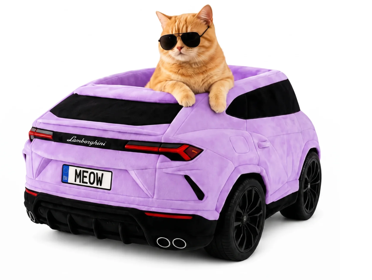 PAWSLASH™ Luxury Bed with Wall Mount